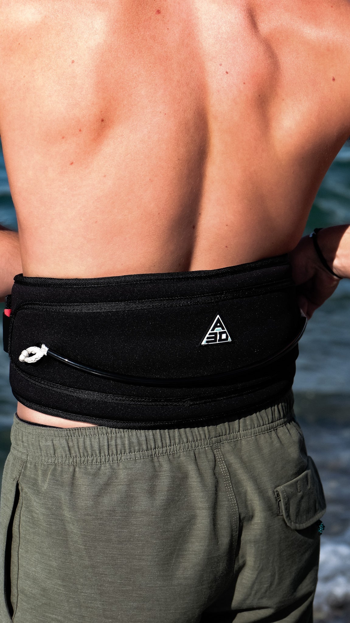 WING HARNESS